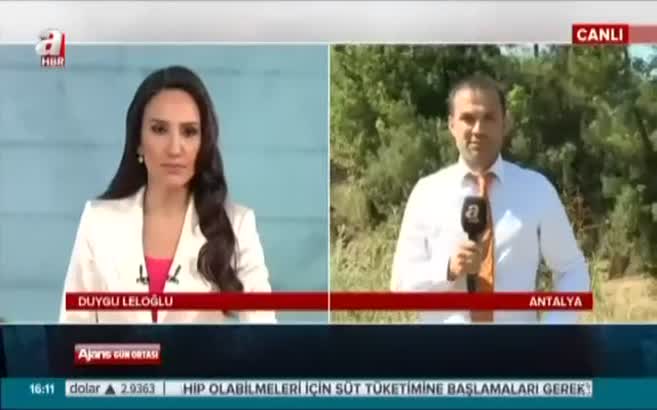 Antalya'da oteller bölgesinde orman yangını