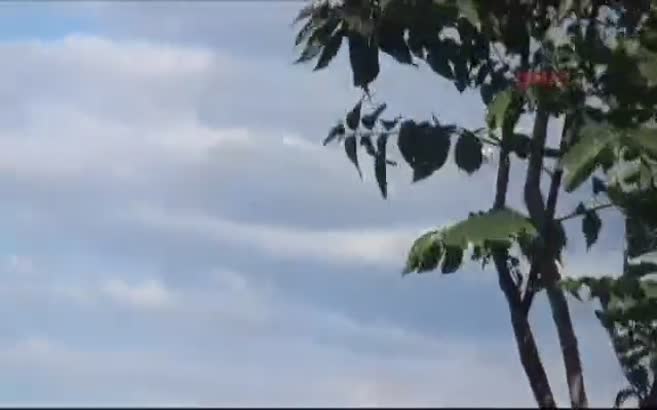 Orman yangını söndürmek için havalanan helikopter hedefi şaşırdı