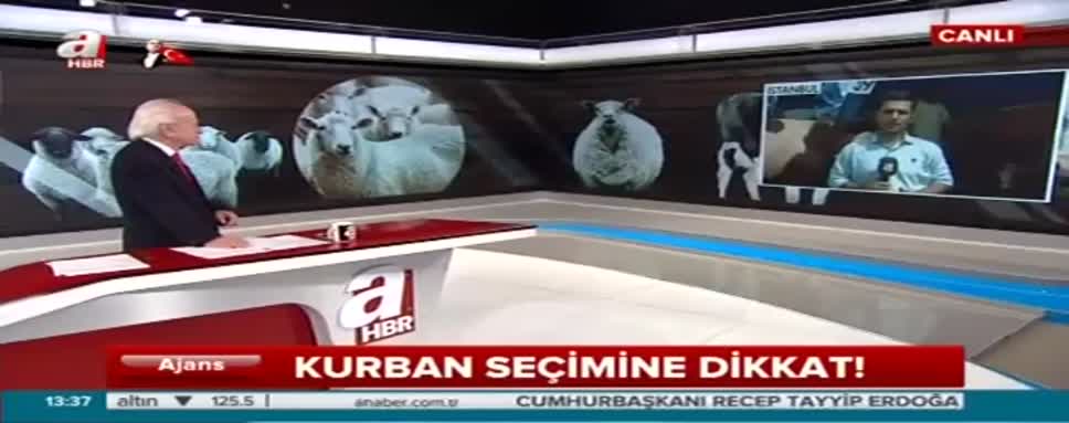 Kurban alırken neye dikkat etmeli?