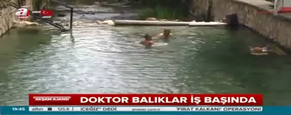 Doktor balıklar iş başında!