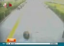 Öksüz, Kırklarelide görüldü iddiası!