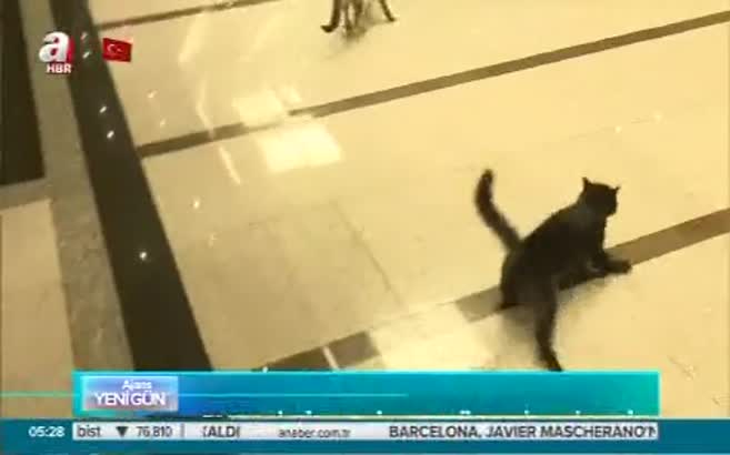 Dünya Enerji Zirvesi’nde sürpriz misafir