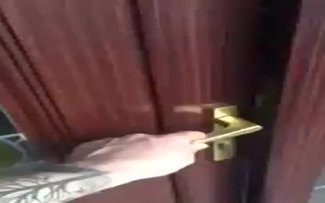 Evi korumakla görevli köpek keyif yaparken yakalandı