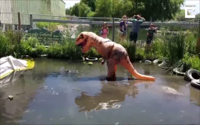 Timsahların dinozor kılığına giren adam tepkisi