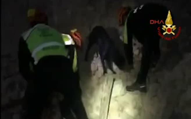 İtalya'da bir köpek, depremden 35 saat sonra enkazdan sağ çıkarıldı