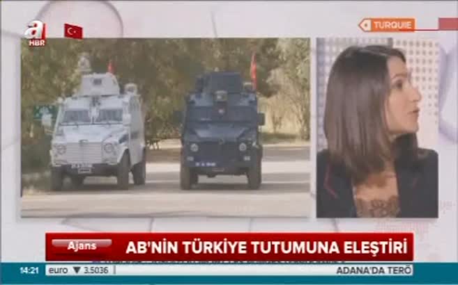 Fransız gazeteci Türkiye’yi böyle savundu