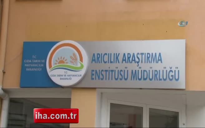 Sahte balda kanser tehlikesi