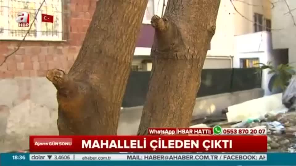 Hırsızlar alışkanlık edindi mahalleli yardım bekliyor