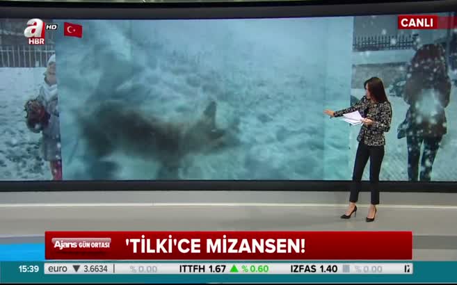 Tilki kurnazlığı! Herkes "dondu" zannetti
