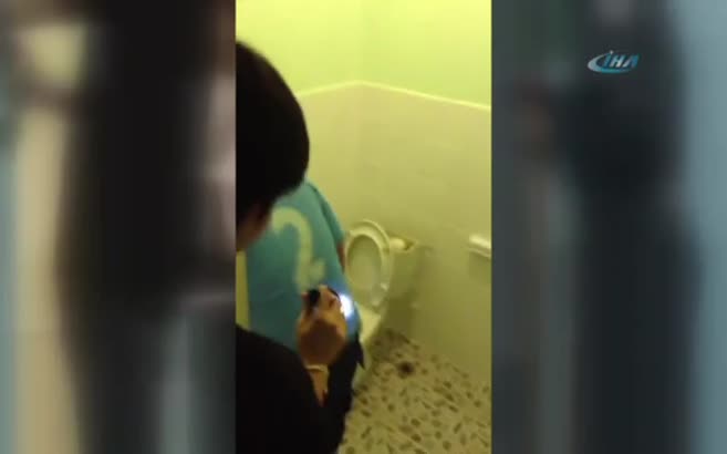Klozetten yılan çıktı!