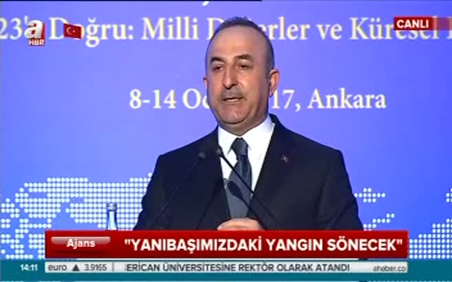 Çavuşoğlu: Bu yangını söndürmeye kararlıyız