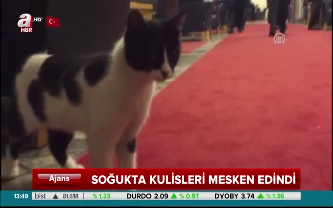 Meclisin neşe kaynağı: Kulis