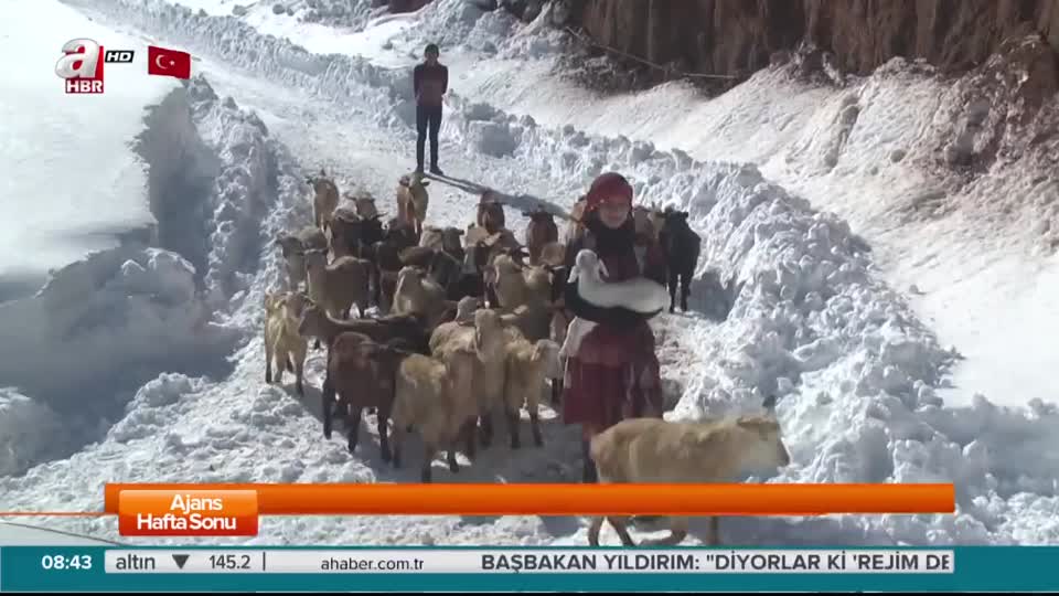 A Haber Rizeli Heidi’yi buldu