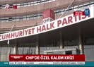 CHPli Ceylan neden ABDye gitti?