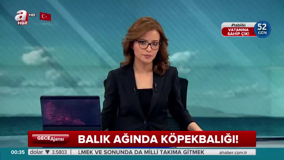 Balıkçılar köpekbalığı yakaladı