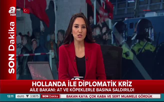 Hollanda Başkonsolosluğu'na Türk bayrağı çekildi