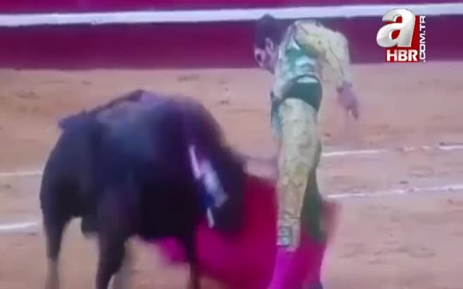 Kurban bu kez matador oldu