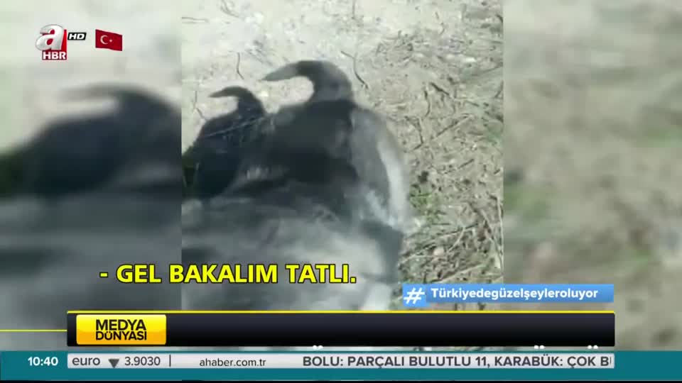 İkinci ’kuyu’ vakası