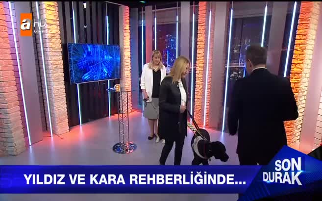 Rehber köpekler görme engellilere ışık oluyor