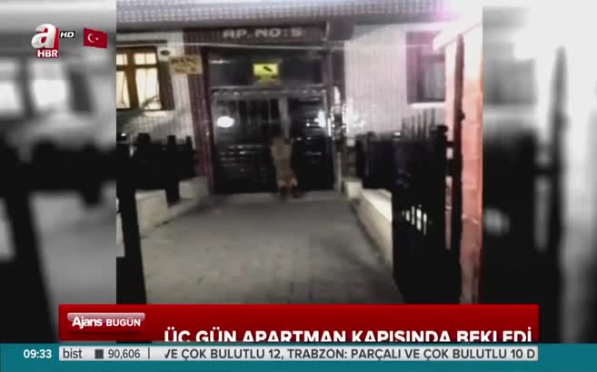 Üç gün apartman kapısında yavrularını bekledi
