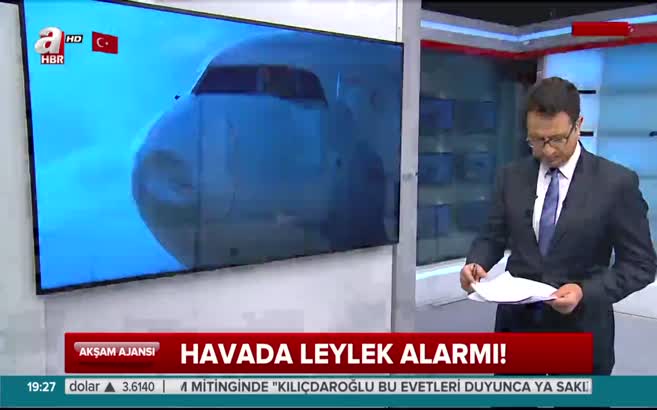Havalimanı'nda leylek istilası