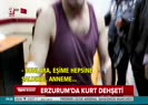 Erzurumda aç kurt köylülere saldırdı