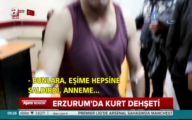 Erzurum'da aç kurt köylülere saldırdı