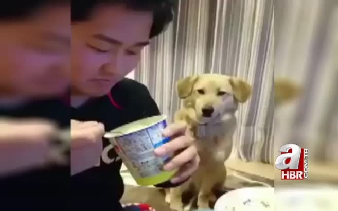 Aç ama gururlu