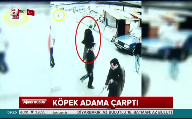 Köpeğin çarptığı adam şaha kalktı