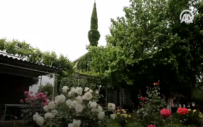 Botanik bahçesi gibi cami