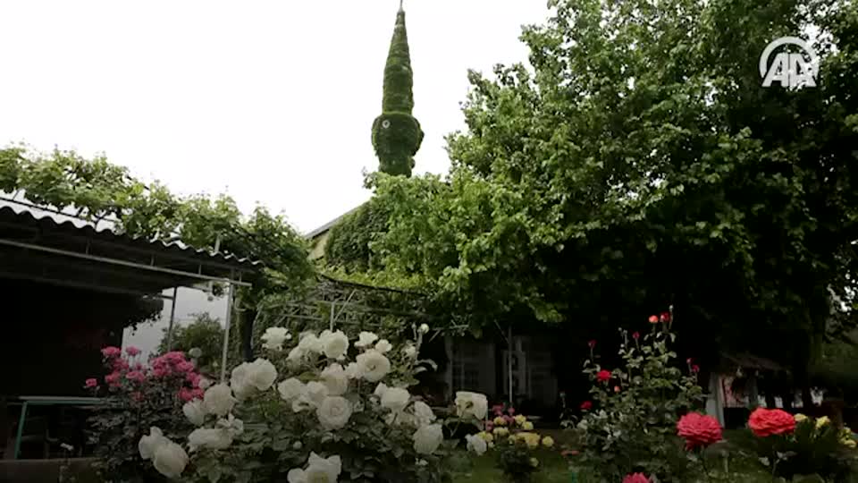 Botanik bahçesi gibi cami