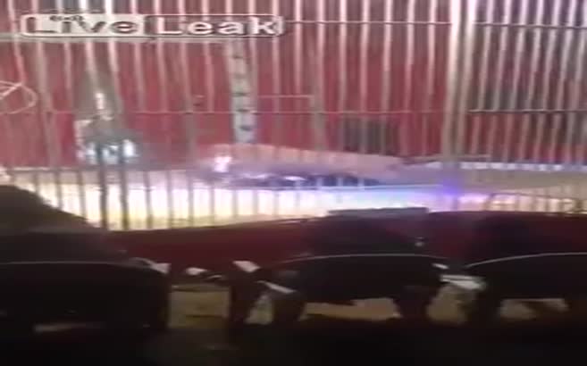 Fransa'da aslan, terbiyecisine saldırdı