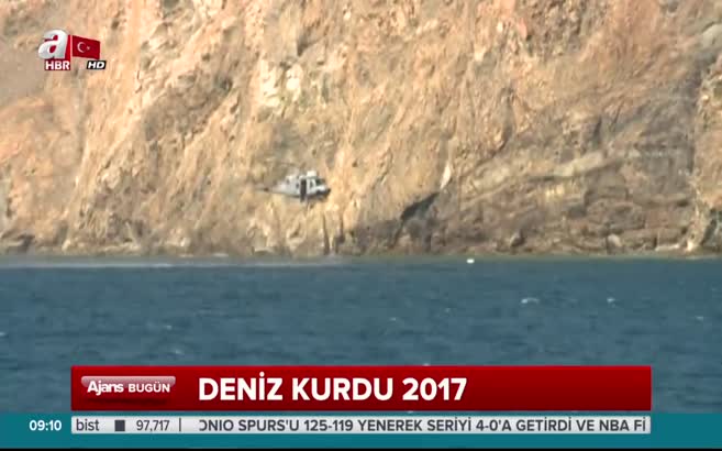 Deniz Kurdu 2017 Tatbikatı
