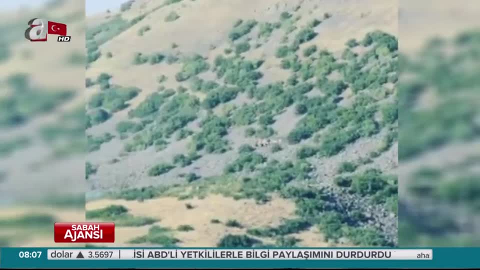 Ağrı'da 29 PKK'lı öldürüldü