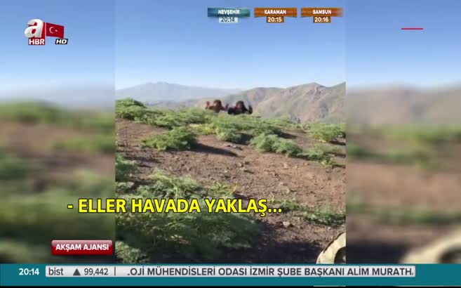 Teröristlerin teslim olduğu an!