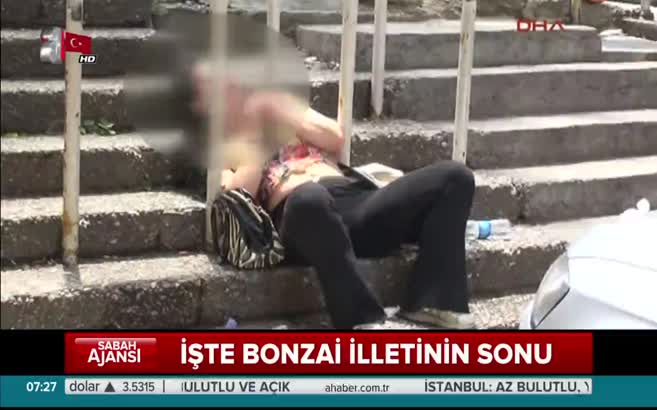 İşte bonzai illetinin sonu