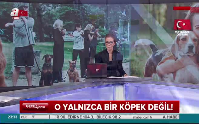 Rehber köpeklere nasıl sahip olunur