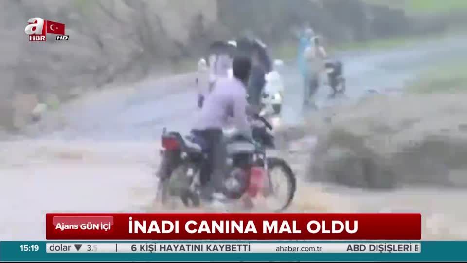 İnadı canına mal oldu