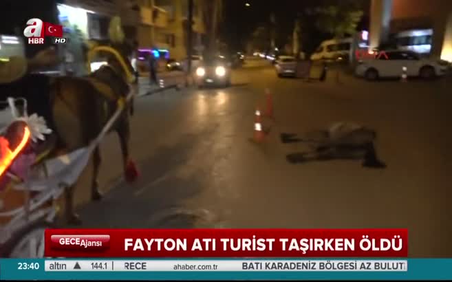 Fayton atı turist taşırken öldü