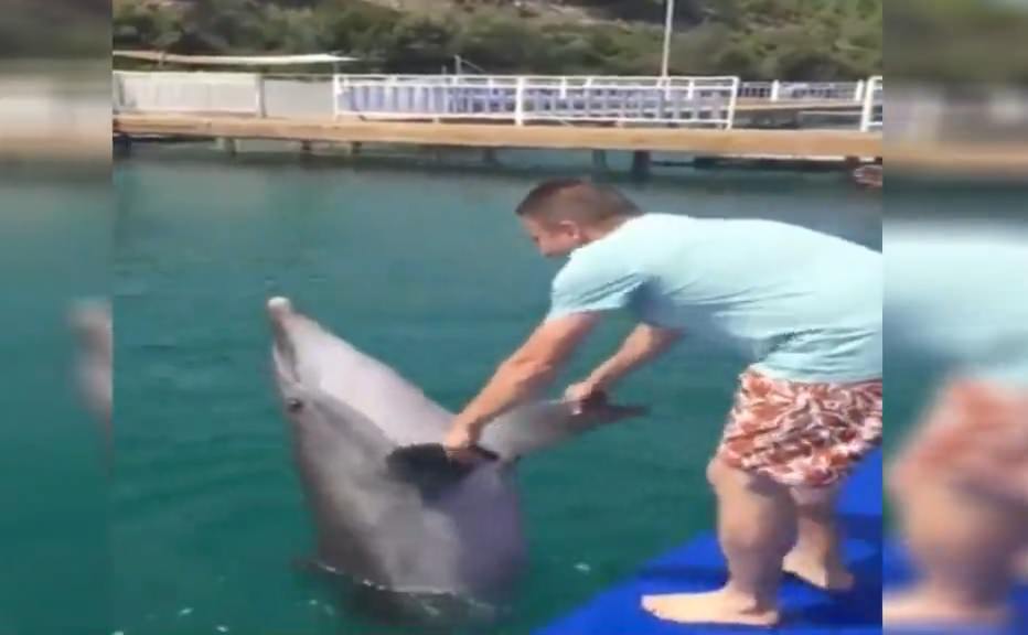 Yunusa horon oynattı