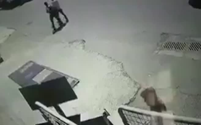 Diyarbakırlı yaşlı adamın bayrak sevgisi