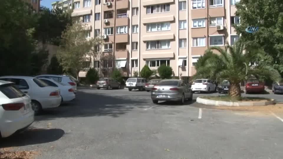 Sarıyer’de sokak köpekleri yüzünden mahalleli dışarı çıkamıyor