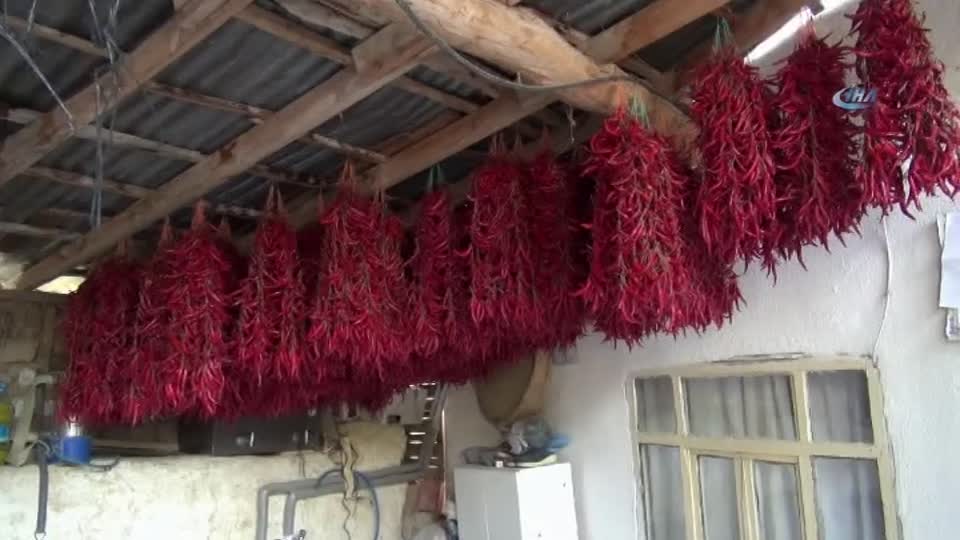 Bu köyde senede 100 ton pul biber üretiliyor