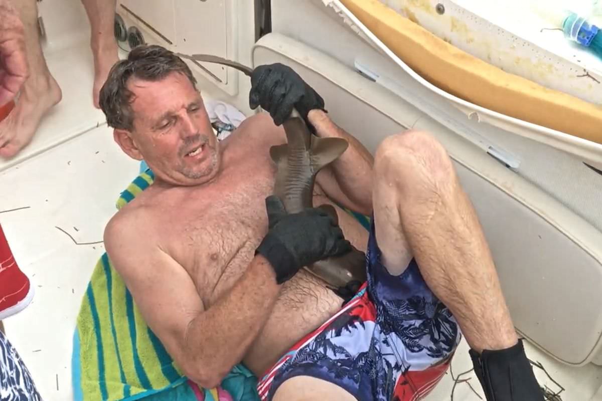 Köpek balığı karnından ısırdı