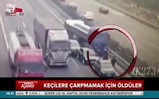 Çin'de feci kaza! Keçilere çarpmamak için öldüler