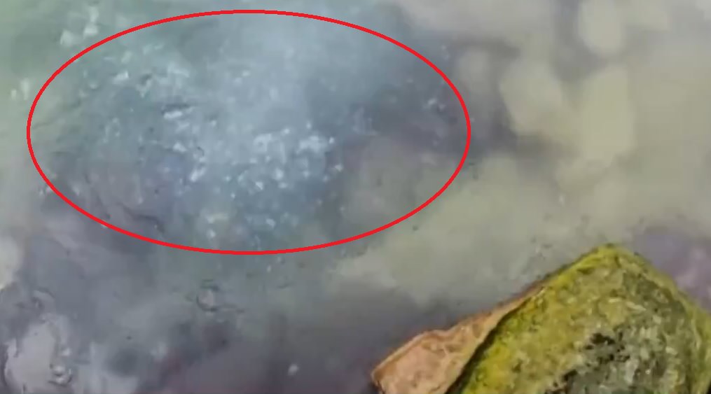 Masal gerçek oldu! İşte kaynayan nehir