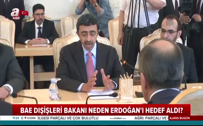 BAE Dışişleri Bakanı neden Cumhurbaşkanı Erdoğan'ı hedef aldı?
