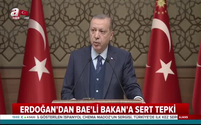 Cumhurbaşkanı Erdoğan'dan BAE''li Bakan'a sert tepki!