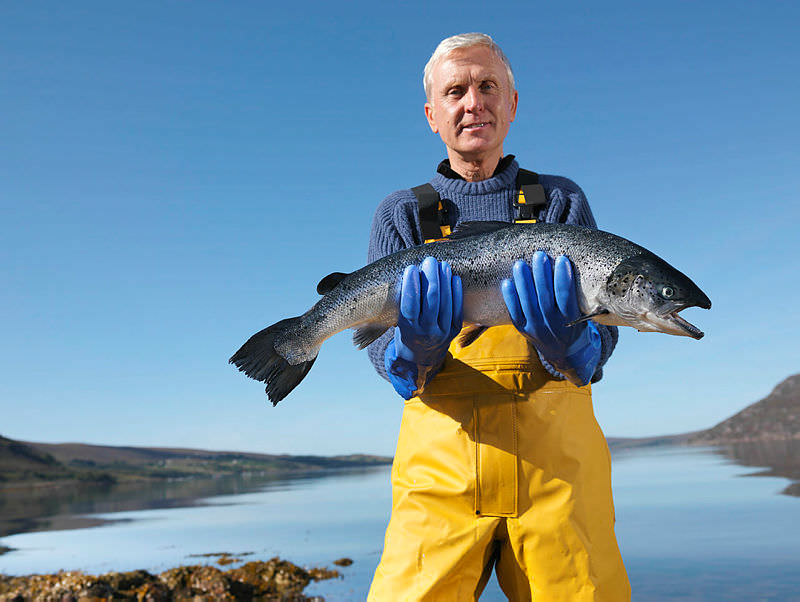 Haftada bir balık yiyen çocuklar daha zeki oluyor