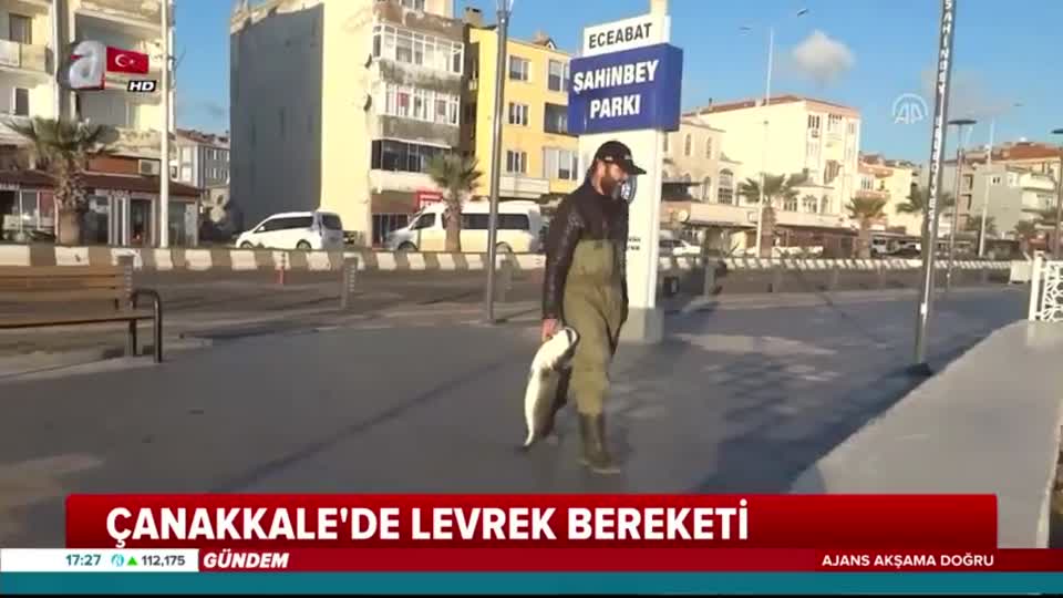 Bir saatte yakaladığı 3 levreği bin liraya sattı